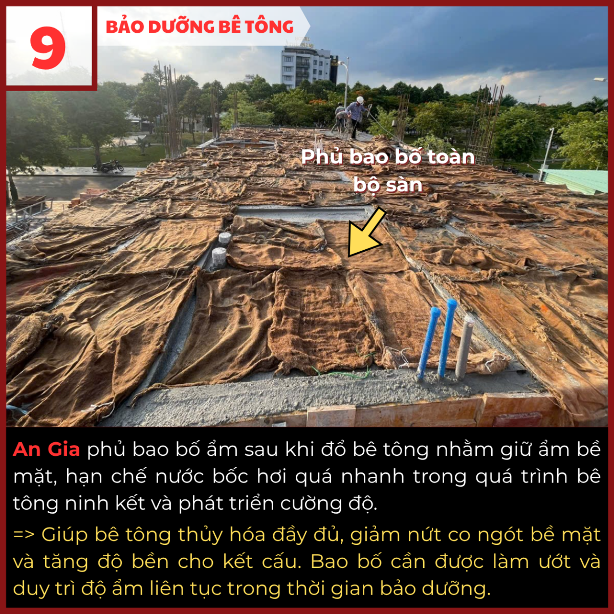 Bảo dưỡng bê tông bằng bao bố giữ ẩm sau khi đổ